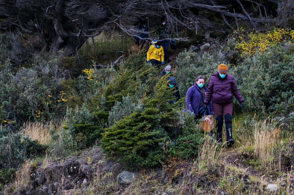 Argentine scientists collect traps placed at different points across Ushuaia, Argentina, Tuesday, May 19, 2026, as part of an investigation for the source of the hantavirus outbreak on the MV Hondius cruise ship. (AP Photo/Lujan Agusti)