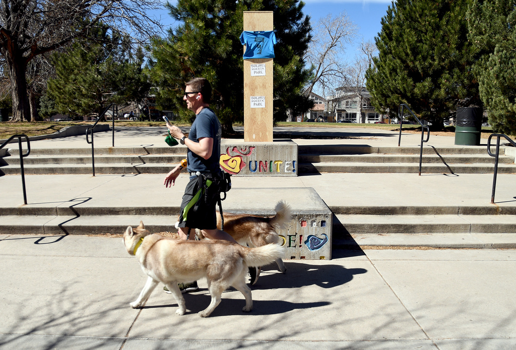 A man walks his dogs past a covered bust of César Chavez at César E. Chavez Park in Denver on Thursday, March 19, 2026. (AP Photo/Thomas Peipert)