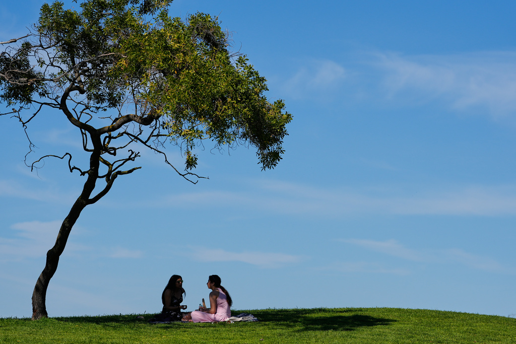Two women sit in the shade under a tree while visiting Shoreline Park in Mountain View, Calif., Monday, March 16, 2026. (AP Photo/Godofredo A. Vásquez)