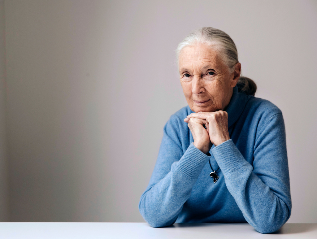 FILE - British primatologist, ethologist, and anthropologist Jane Goodall poses for a portrait in New York to promote the Disneynature film, "Born in China", April 7, 2017. Goodall, the conservationist renowned for her groundbreaking chimpanzee field research and globe-spanning environmental advocacy, died Wednesday, Oct. 1, 2025. She was 91. (Photo by Victoria Will/Invision/AP File)
