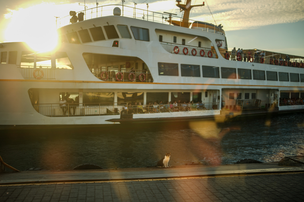 A cat sits on the edge of a dock as a ferry arrives to Kadikoy ferry terminal crossing the Bosphorus strait in Istanbul, Turkey, Wednesday, June 17, 2026. (AP Photo/Emrah Gurel)