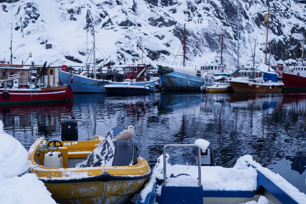 A bird stands on a boat at the harbour of Nuuk, Greenland, on Tuesday, Jan. 13, 2026. (AP Photo/Evgeniy Maloletka)