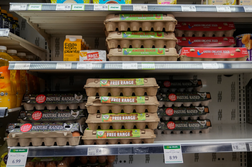 FILE - Eggs are for sale at a grocery store Tuesday, Feb. 10, 2026, in Chicago. (AP Photo/Erin Hooley,File)