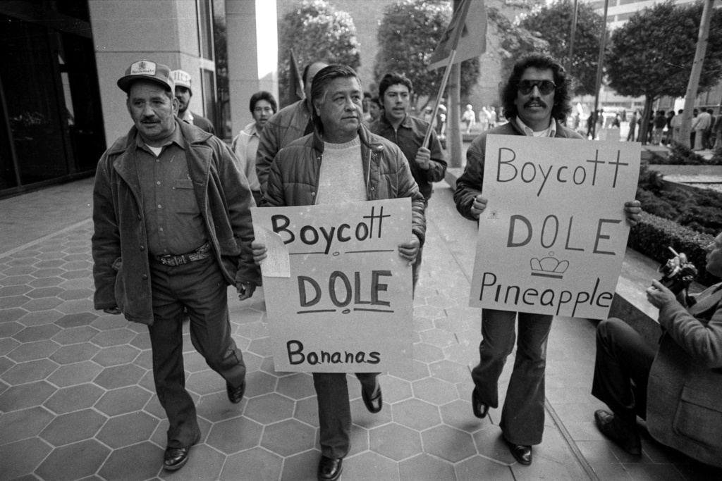 Civil rights leader Cesar Chavez leads a picket against Dole in front of the offices of Castle & Cooke, its parent company, at 50 California St. in San Francisco on Feb. 3, 1982. The United Farm Workers are sponsoring a consumer boycott on Dole products where 300 union members from Ventura, Calif., have been on strike since November. (Steve Ringman/San Francisco Chronicle via AP)