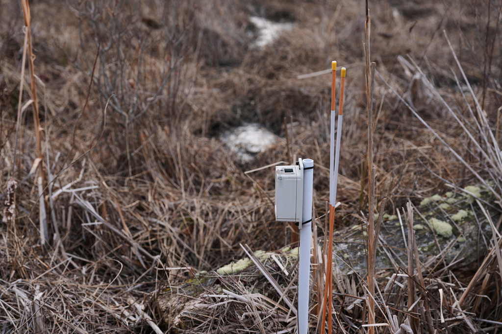 A Living Observatory sensor that measures temperature, humidity and atmospheric pressure is seen at Tidmarsh Wildlife Sanctuary in Plymouth, Mass., Sunday, March 15, 2026. (Jamie Jiang/MIT Graduate Program in Science Writing via AP)