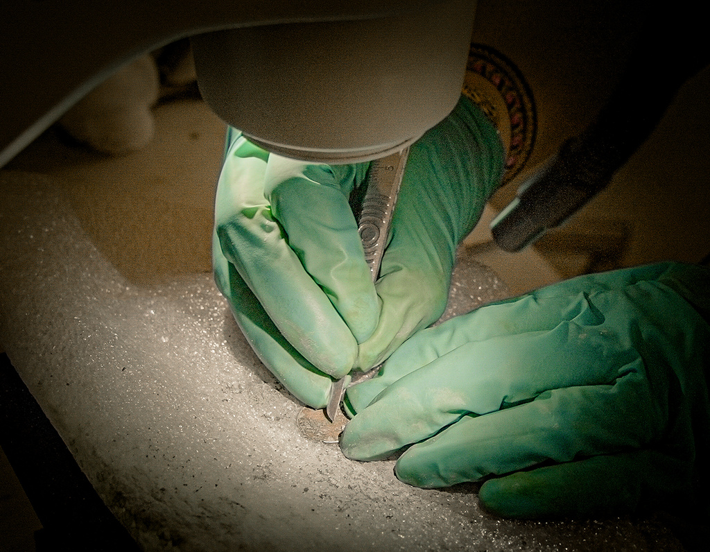 Archaeologist Lucie Altenburg examines a coin under a microscope after it was discovered during excavations outside Notre-Dame Cathedral in Paris, Monday, June 1, 2026. (AP Photo/Nicolas Garriga)