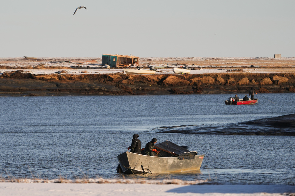Search and rescue workers use nets as they search the river in Kwigillingok, Alaska, Monday, Oct. 27, 2025, while two people are still missing after Typhoon Halong hit the area earlier in the month. (AP Photo/Lindsey Wasson)