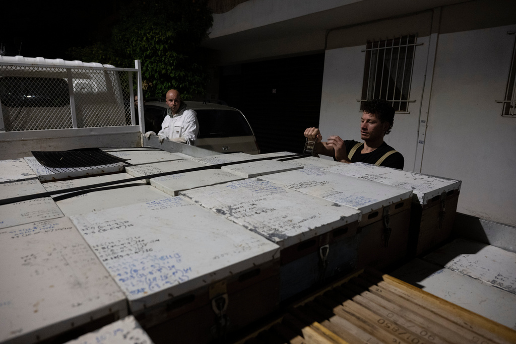 Konstantinos Pantoudis, right, and Grigoris Melas, prepare to unload beehives during a late-night beehive transfer in Athens, Greece, May 6, 2025. (AP Photo/Michael Varaklas)