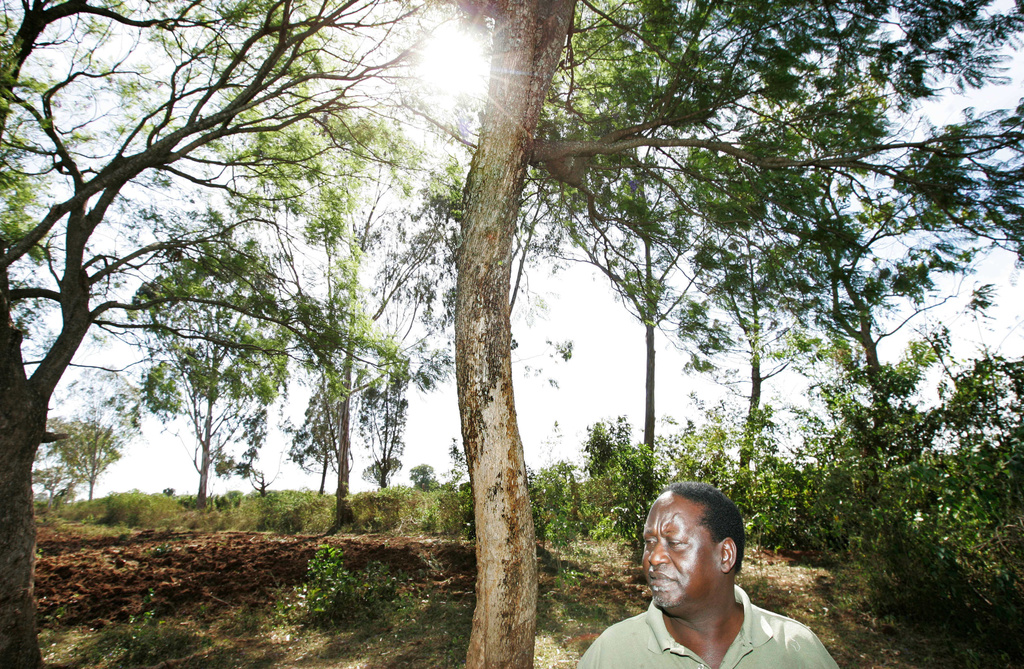 Kenyan opposition leader Raila Odinga walks through his farm in the village of Bondo, near Kisumu, in Kenya, Sunday, Feb. 3, 2008. (AP Photo/Ben Curtis)