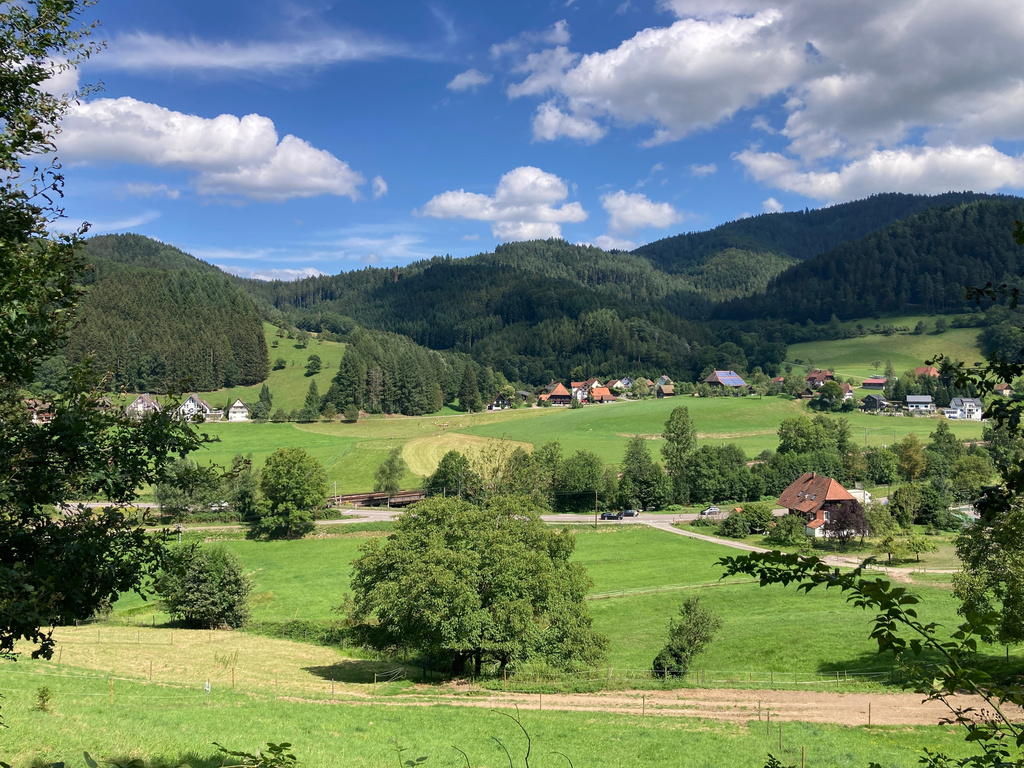 The Park for All Senses, known locally as Park Mit Allen Sinnen, is seen, Thursday, Aug. 8, 2024, in Gutach, Germany. (AP Photo/Kelvin Chan)