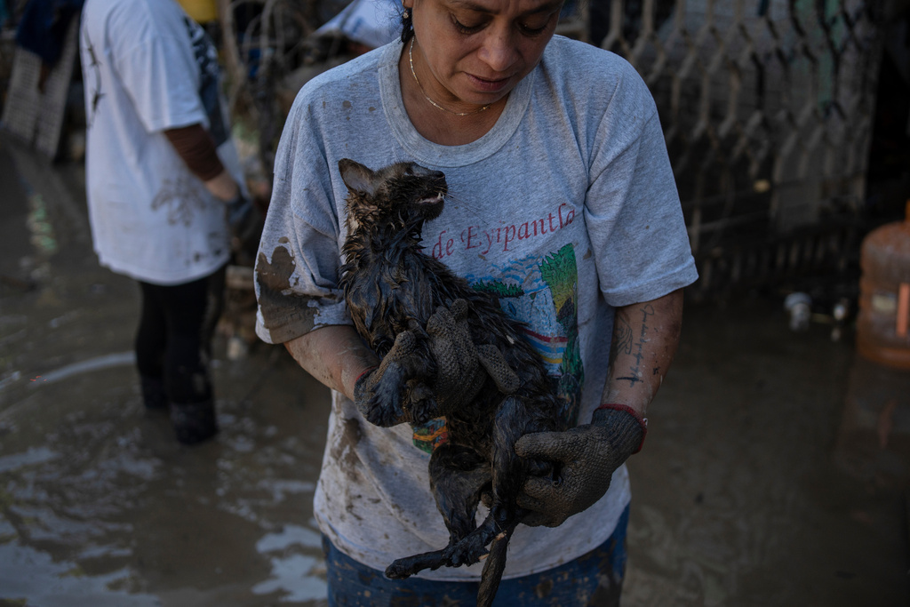 A local holds a rescued cat in Poza Rica, Veracruz state, Mexico, Sunday, Oct. 12, 2025, after rain and flooding. (AP Photo/Felix Marquez)