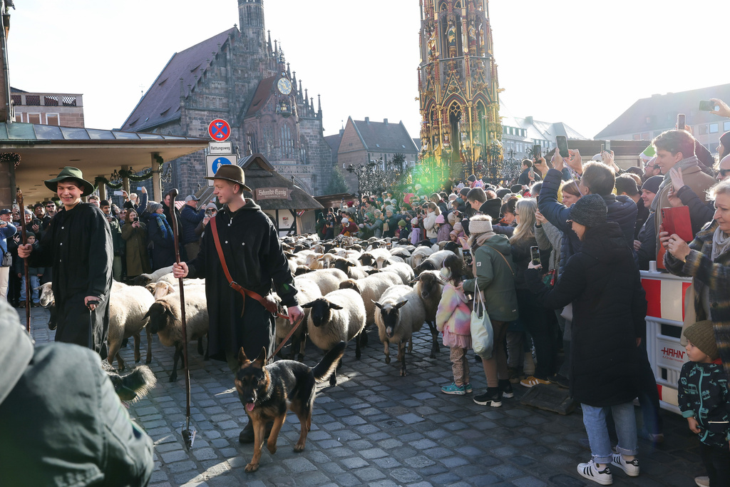 Tim Gackstatter, left and Dirk Gissel lead sheep past the Frauenkirche and the main market square in Nuremberg's city center, Germany, Sunday, Nov. 16, 2025. (Daniel Löb/dpa via AP)