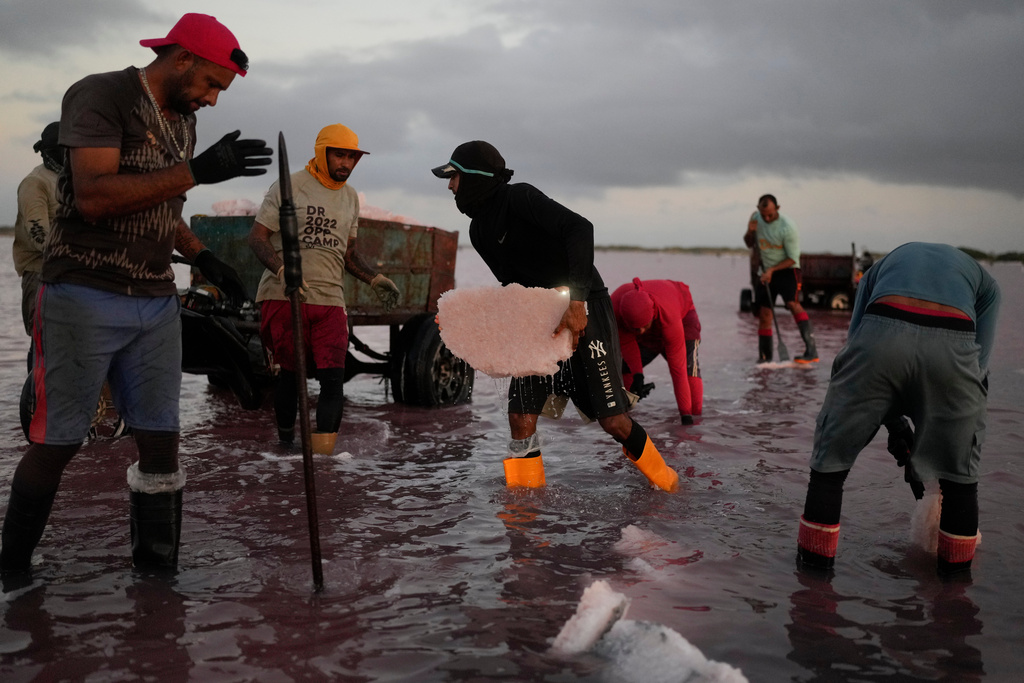 Members of the Sanchez family work at the Salinas de Cumaraguas salt flats on the Paraguana Peninsula, Venezuela, Thursday, Jan. 15, 2026. (AP Photo/Matias Delacroix)