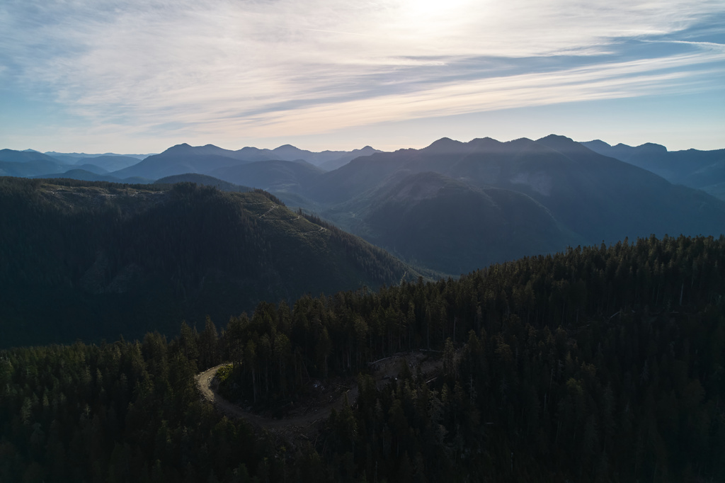 Logging roads wind through mountains near Port Renfrew, British Columbia, Thursday, May 28, 2026. (AP Photo/Annika Hammerschlag)