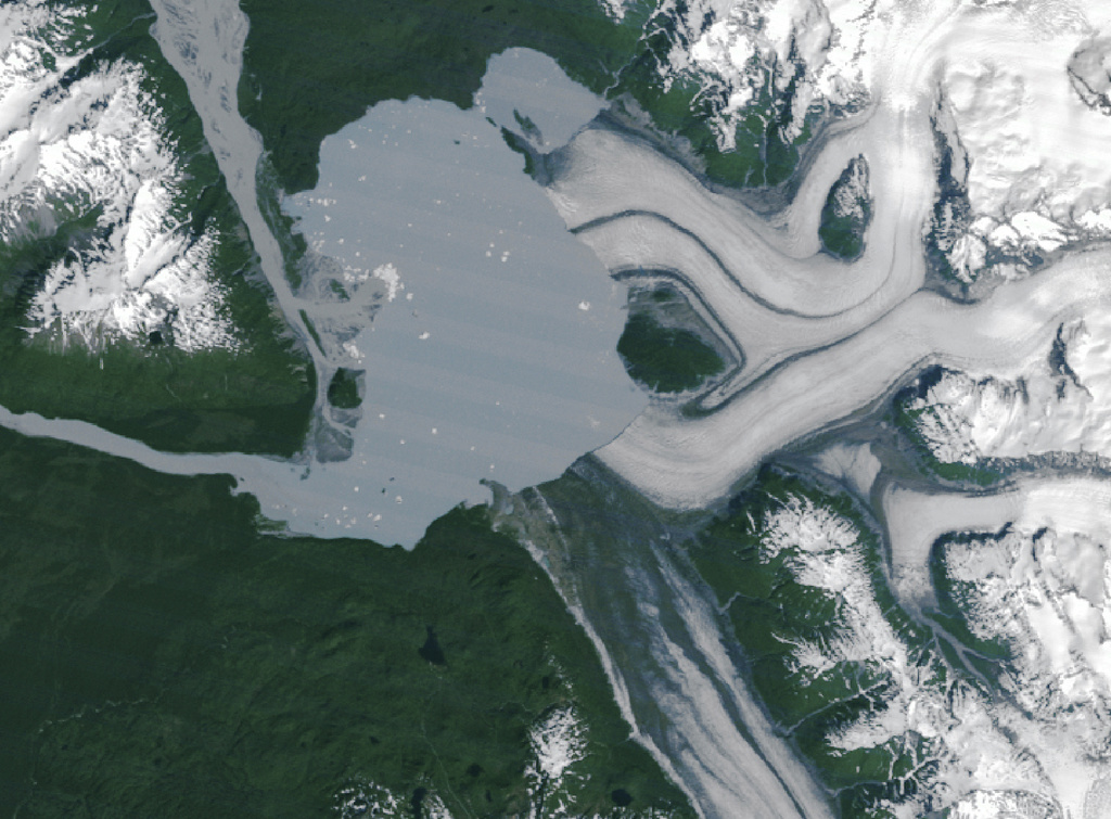 This satellite image provided by NASA Earth Observatory shows the Alsek Glacier in Glacier Bay National Park and Preserve in Alaska around much of a land mass known as Prow Knob, center right, with a lake bordering on one side, July 5, 1984. (NASA Earth Observatory via AP)