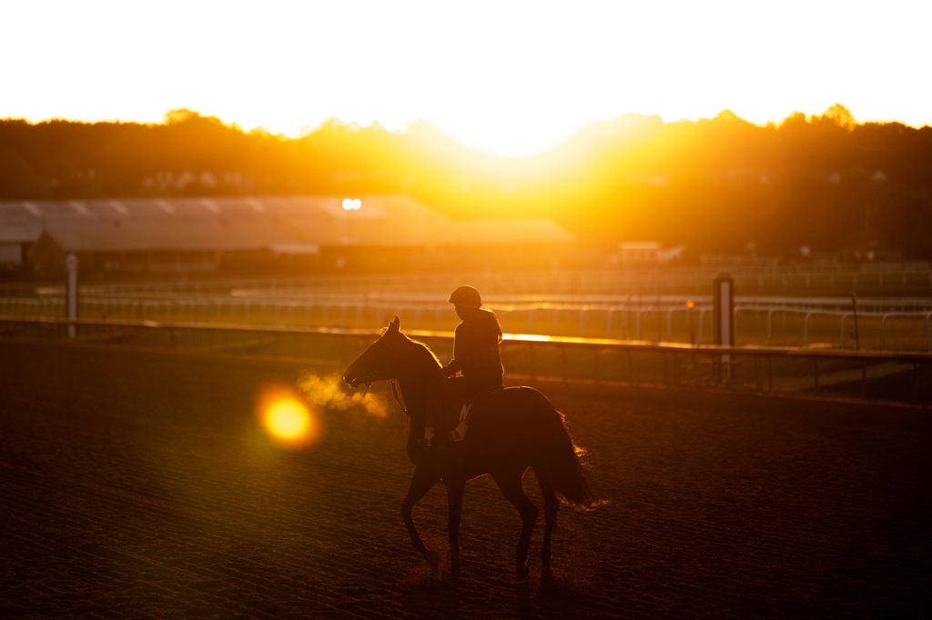A horse works out at Laurel Park during sunrise, Friday, May 8, 2026, in Laurel, Md. (AP Photo/Julia Demaree Nikhinson)
