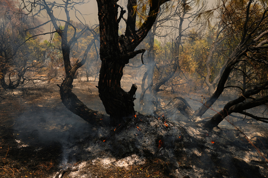Smoke rises from the remains of a tree caught in a wildfire in San Martin de Valdeiglesias, west of Madrid, Spain, Sunday, July 26, 2026. (AP Photo/Manu Fernandez)