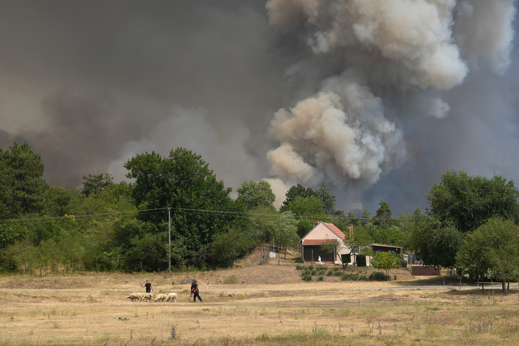 smoke emerges from a forest during a wildfire in Deliblatska Pescara (Deliblato Sands), near the village of Sumarak, 70 kilometers north-west of Belgrade, Serbia, Friday, Aug. 7, 2026. (AP Photo/Darko Vojinovic)