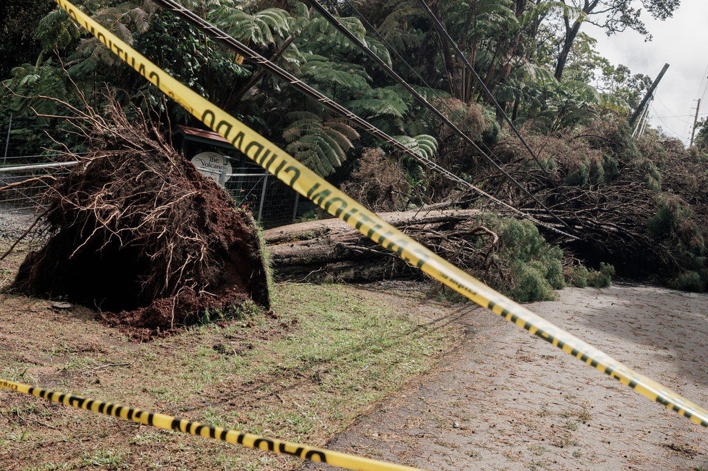 Caution tape is seen in front of a downed tree blocking a road the day after Hurricane Lala near Volcano, Hawaii, Sunday, Aug. 16, 2026. (Stephen Lam/San Francisco Chronicle via AP)