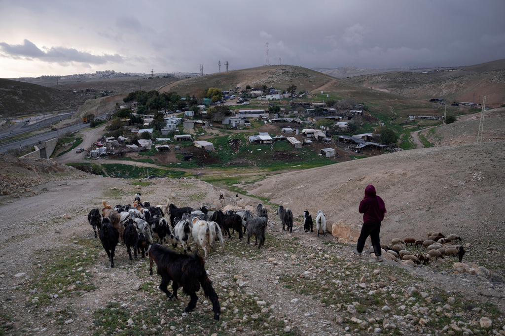 FILE - A Bedouin shepherd leads her goats at the hamlet of Khan al-Ahmar in the West Bank, Jan. 31, 2023. (AP Photo/Oded Balilty, File)