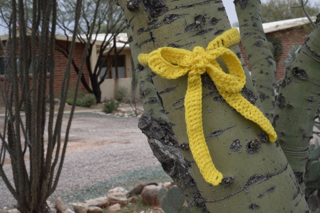 People hang yellow ribbons in their neighborhood around Nancy Guthrie’s home in Tucson, Ariz., on Friday, Feb. 13, 2026. (AP Photo/Ty ONeil)