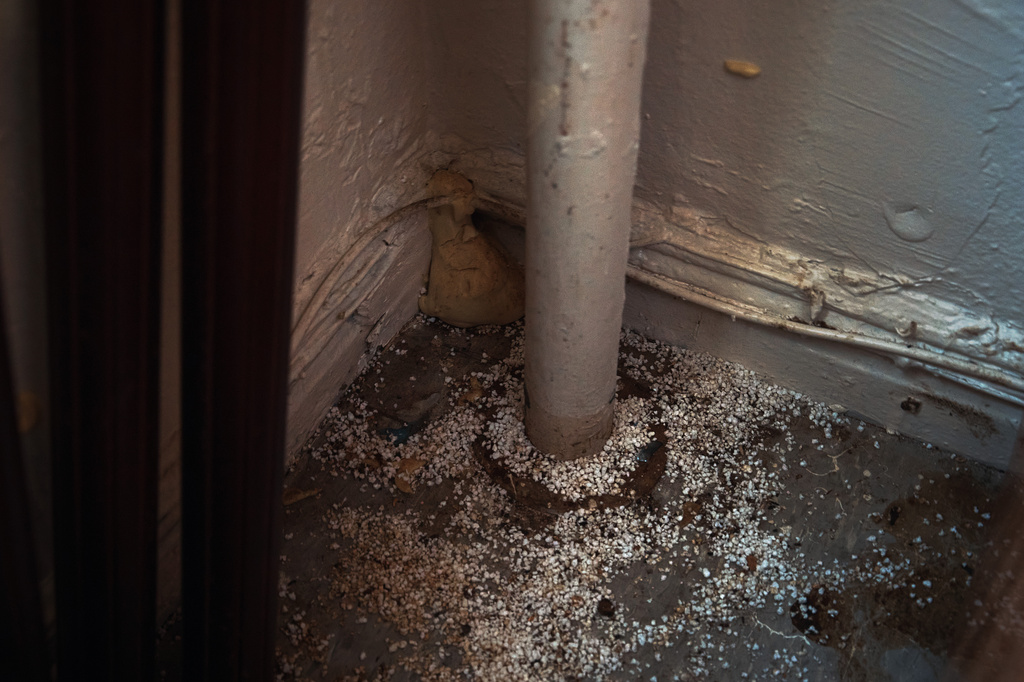 Foam sealant and rat poison sit around a pipe inside Marina Quiroz's home in an apartment building where tenants report maintenance issues and pest infestations, in the Bronx borough of New York, Tuesday, March 17, 2026. (AP Photo/Andres Kudacki)