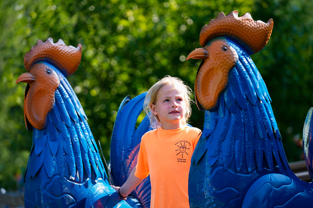 Pyper Leblanc examines a pair of tin roosters after they were set up at the Hilton Winn Farm in Ogunquit, Maine, Wednesday, July 22, 2026. (AP Photo/Robert F. Bukaty)