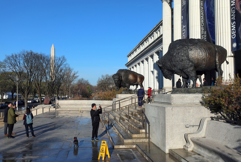 Bison statues cast in bronze are on permanent display outside the Smithsonian's National Museum of Natural History, Friday, March 20, 2026, in Washington. The Washington Monument is in the background. (AP Photo/Rahmat Gul)