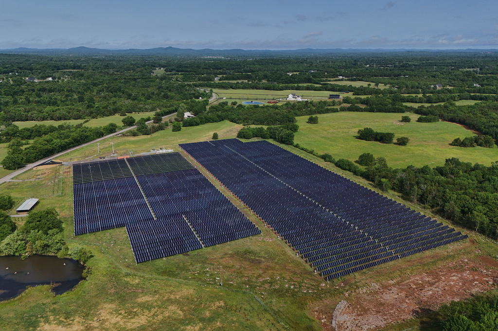 Solar panels operate on a farm with cattle Tuesday, April 28, 2026, in Christiana, Tenn. (AP Photo/Joshua A. Bickel)