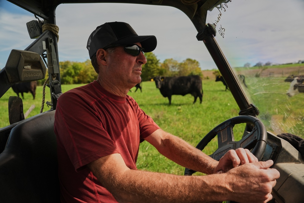 Allan Bryant moves his cattle to a field Friday, Oct. 17, 2025, in Eminence, Ky. (AP Photo/Joshua A. Bickel)
