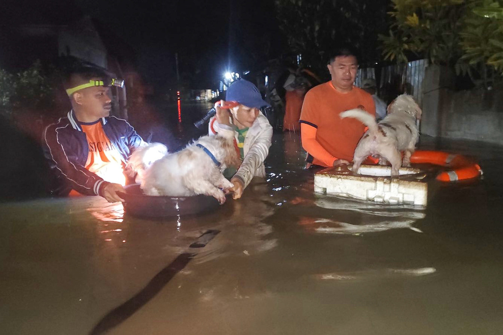 In this handout provided by the Philippine Coast Guard, residents and their dogs are evacuated by rescuers as floods rise due to Typhoon Bualoi in Ormoc, Leyte province, Philippines, on Friday Sept. 26, 2025. (Philippine Coast Guard via AP)