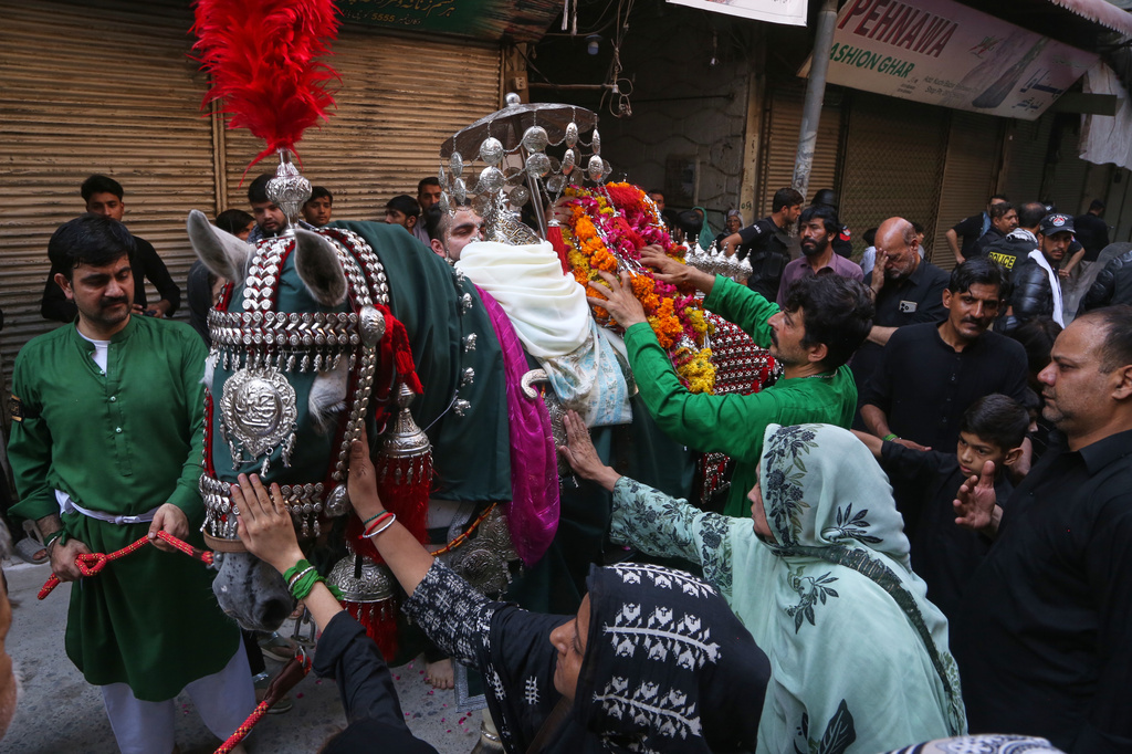 Shiite Muslims touch a horse, that symbolises the horse that carried Imam Hussein during a procession in the mourning month of Muharram, in Peshawar, Pakistan, Wednesday, June 24, 2026. (AP Photo/Muhammad Sajjad)
