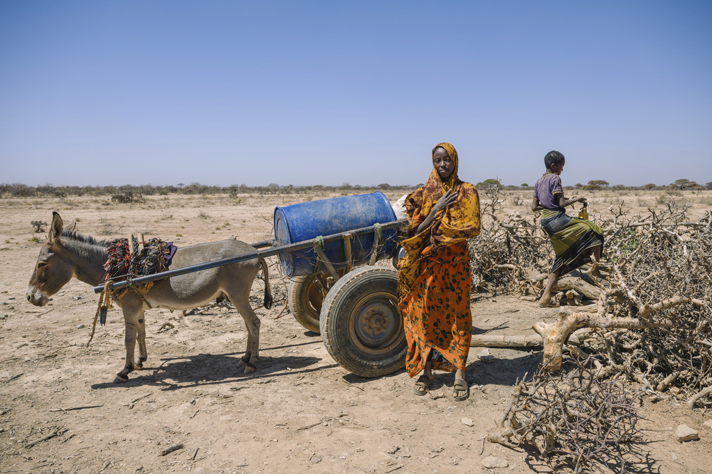 Children seeking water bring their donkey cart to a well, dug into the bottom of what should be a lake, surrounded by thorny brush to prevent livestock from falling in Thursday, Jan. 8, 2026, in Afcadde, Ethiopia. (AP Photo/Julianne Gauron)