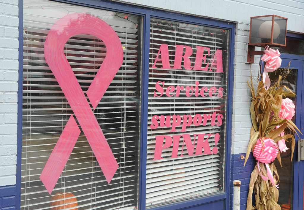 FILE - The AREA Services building in Shamokin, Pa. is decorated in pink ribbons and bras for Breast Cancer Awareness month, Thursday, Oct. 4, 2012. (Mike Staugaitis/The News-Item via AP)