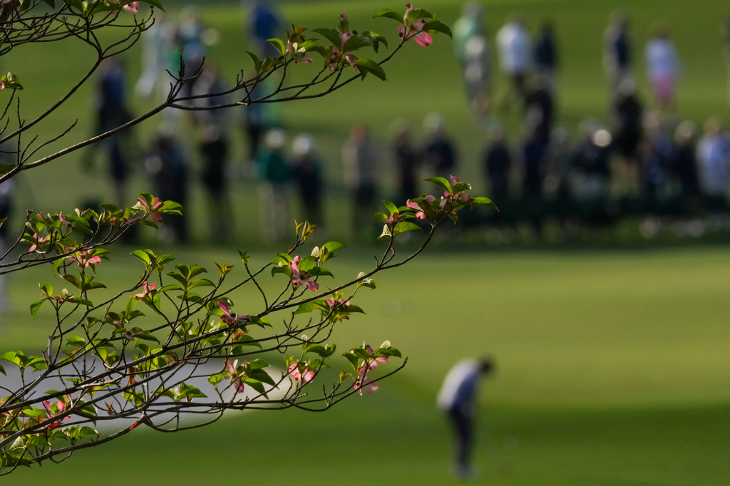 Justin Thomas hits from the fairway if front of the pink dogwood tree on the second hole during a practice round ahead of the Masters golf tournament at the Augusta National Golf Club, Wednesday, April 8, 2026, in Augusta, Ga. (AP Photo/Matt Slocum)