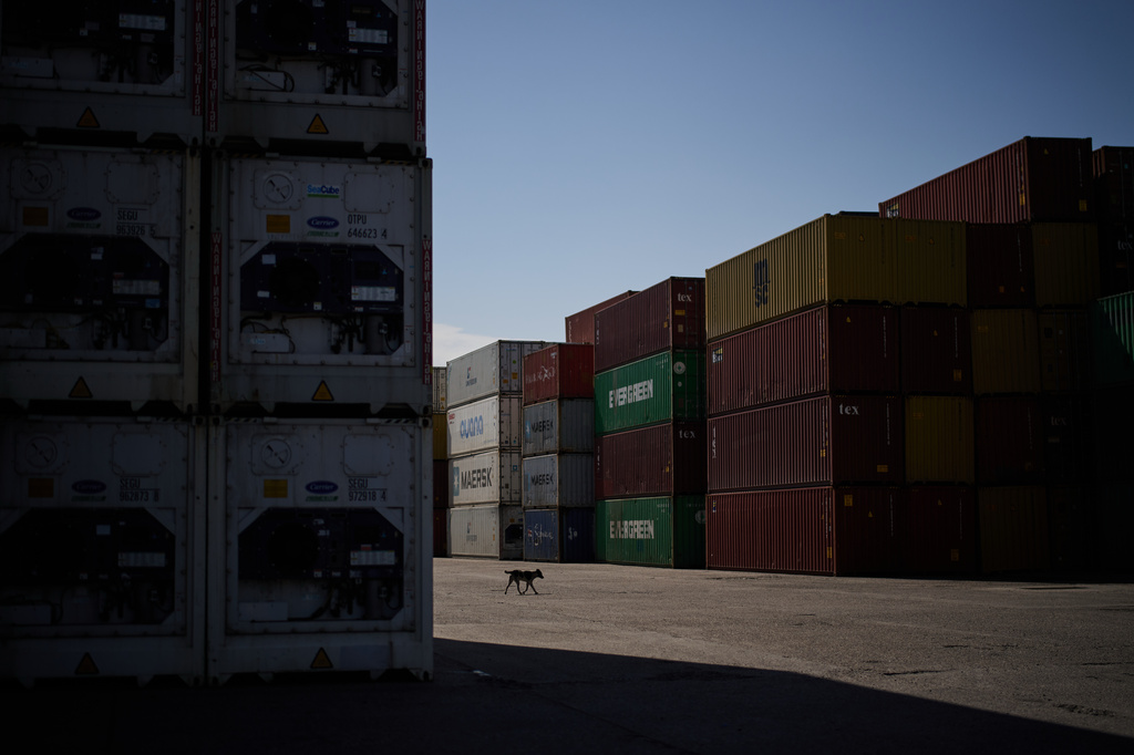A dog walks past cargo containers at Umm Qasr Port, a deep-water port, in the city of Umm Qasr, Iraq, Friday, March 27, 2026. (AP Photo/Leo Correa)