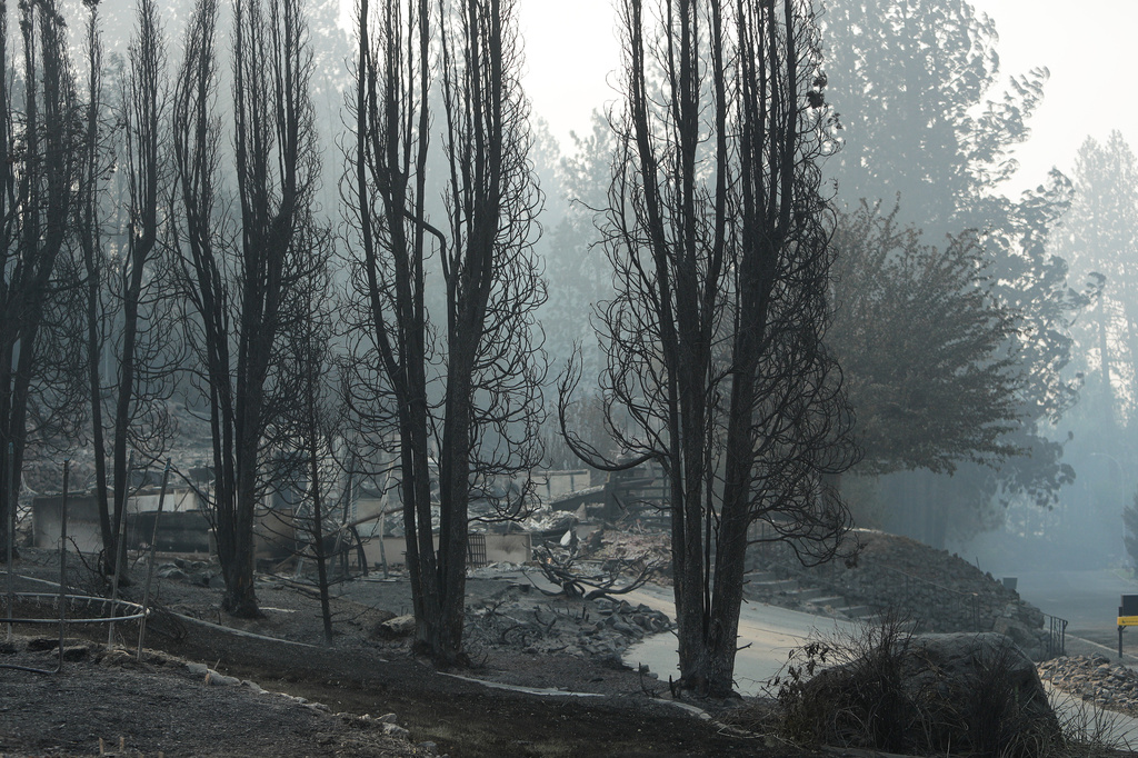 Trees burned by a wildfire stand near destroyed structures in the Indian trail neighborhood, Monday, Aug. 3, 2026, in Spokane, Wash. (AP Photo/Young Kwak)