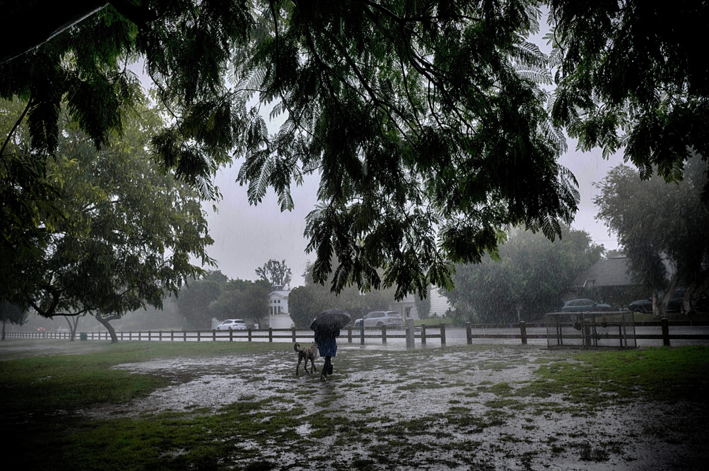 A lone dog walker braves the pouring rain in the Encino section of Los Angeles on Tuesday, Oct. 14, 2025. (AP Photo/Richard Vogel)