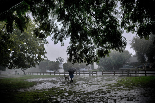 A lone dog walker braves the pouring rain in the Encino section of Los Angeles on Tuesday, Oct. 14, 2025. (AP Photo/Richard Vogel) A lone dog walker braves the pouring rain in the Encino section of Los Angeles on Tuesday, Oct. 14, 2025. (AP Photo/Richard Vogel)