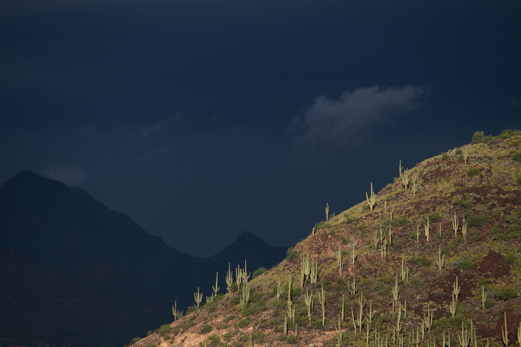 A large storm closes in quickly over the Tucson Mountains, west of downtown Tucson, on Tuesday, Sept. 29, 2026. (Mason Kumet/Arizona Luminaria via AP)