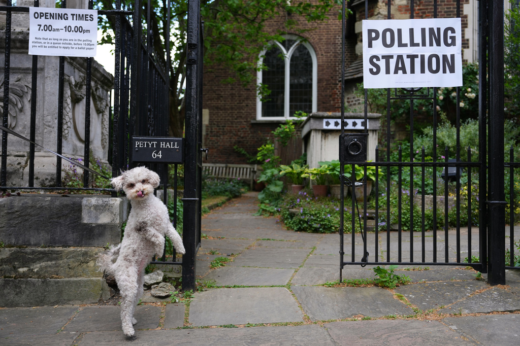 A dog jumps outside a polling station in London, Thursday, May 7, 2026 as it waits for the owner during the UK 2026 local elections.(AP Photo/Kirsty Wigglesworth)