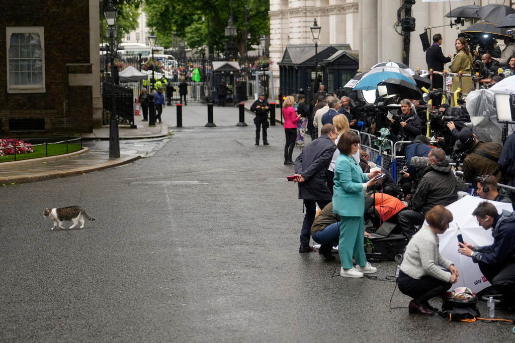 FILE - A police officer watches as Larry the Cat, Britain's mouse-catcher in chief and long time resident at the leader's official residence, walks away from the media gathered in Downing Street in London, Friday, July 5, 2024. (AP Photo/Vadim Ghirda, File)