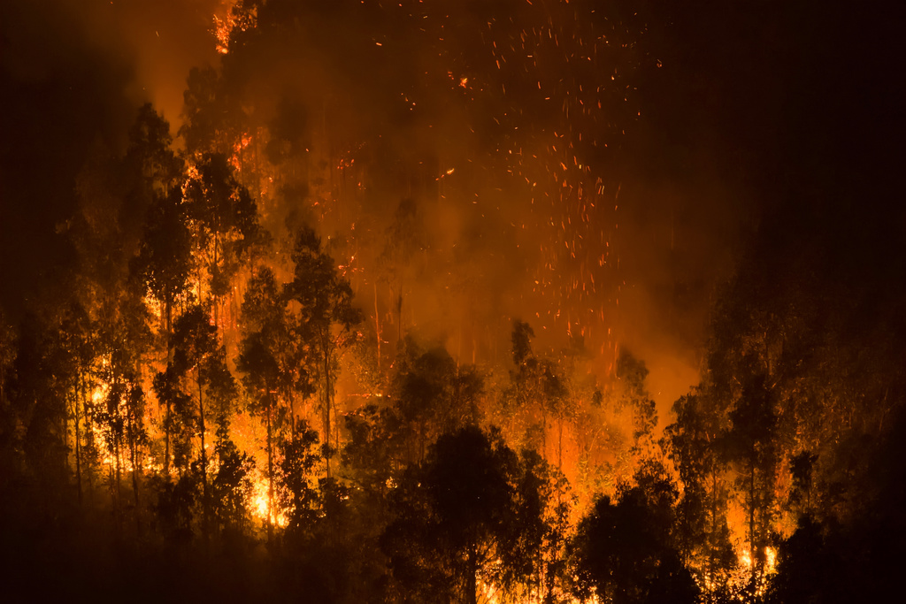 FILE - Wildfires burn near Concepcion, Chile, Jan. 19, 2026. (AP Photo/Javier Torres, File)