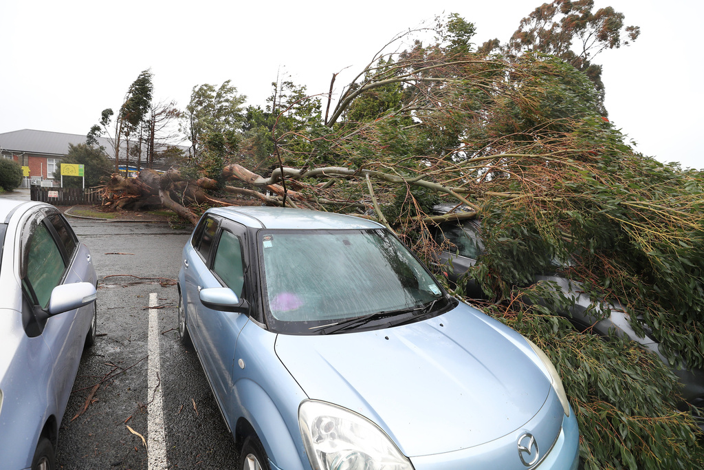 Cars are damaged by a fallen tree that fell during strong winds in Invercargill, New Zealand, Wednesday, Oct. 22, 2025. (Robyn Edie/Southland Times/STUFF via AP)