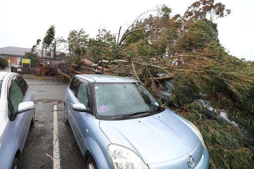 Cars are damaged by a fallen tree that fell during strong winds in Invercargill, New Zealand, Wednesday, Oct. 22, 2025. (Robyn Edie/Southland Times/STUFF via AP) Cars are damaged by a fallen tree that fell during strong winds in Invercargill, New Zealand, Wednesday, Oct. 22, 2025. (Robyn Edie/Southland Times/STUFF via AP)