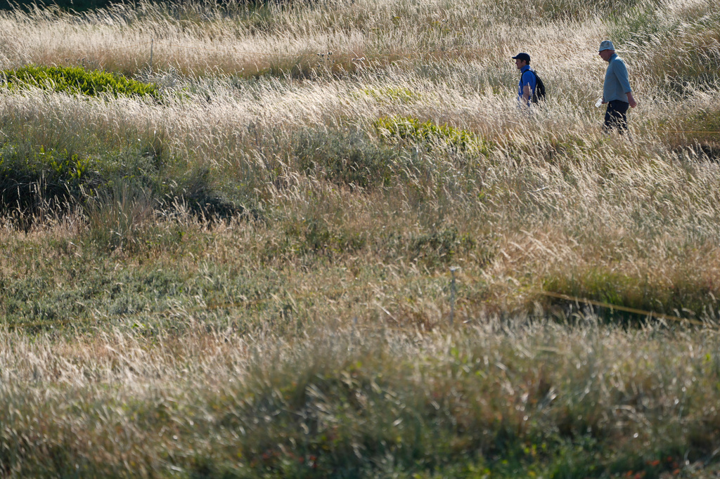 Spectators walk along a path with long grass either side as they watch a practice round for the British Open Golf championships at Royal Birkdale golf club, in Southport, England, Monday, July 13, 2026. (AP Photo/David Goldman)