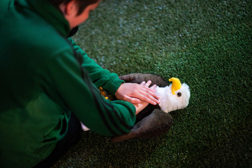 A child pretends to resuscitate a toy eagle as they watch the World Cup round of 16 soccer match between the United States and Belgium during a watch party at the Rockefeller Center fan village, Monday, July 6, 2026 in New York. (AP Photo/Adam Gray)