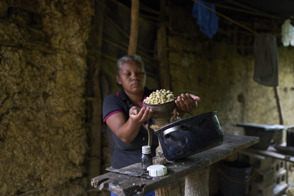 Daneris Rujano grinds corn to make "arepas," a cornmeal flatbread, for her family's lunch in La Sierra, Venezuela, Thursday, June 26, 2025. (AP Photo/Ariana Cubillos)