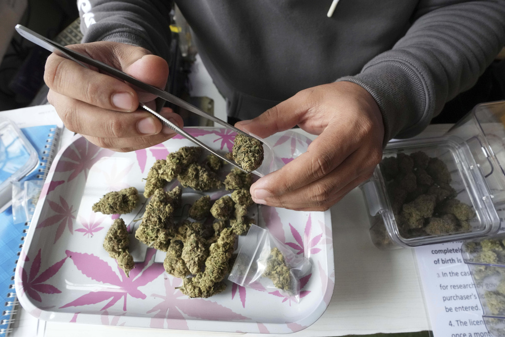 FILE - A staff prepares flower bud of marijuana for a customer at a cannabis shop after Thailand started banning the sale of cannabis to those without a prescription in Bangkok, Thailand, Friday, June 27, 2025. (AP Photo/Sakchai Lalit, File)