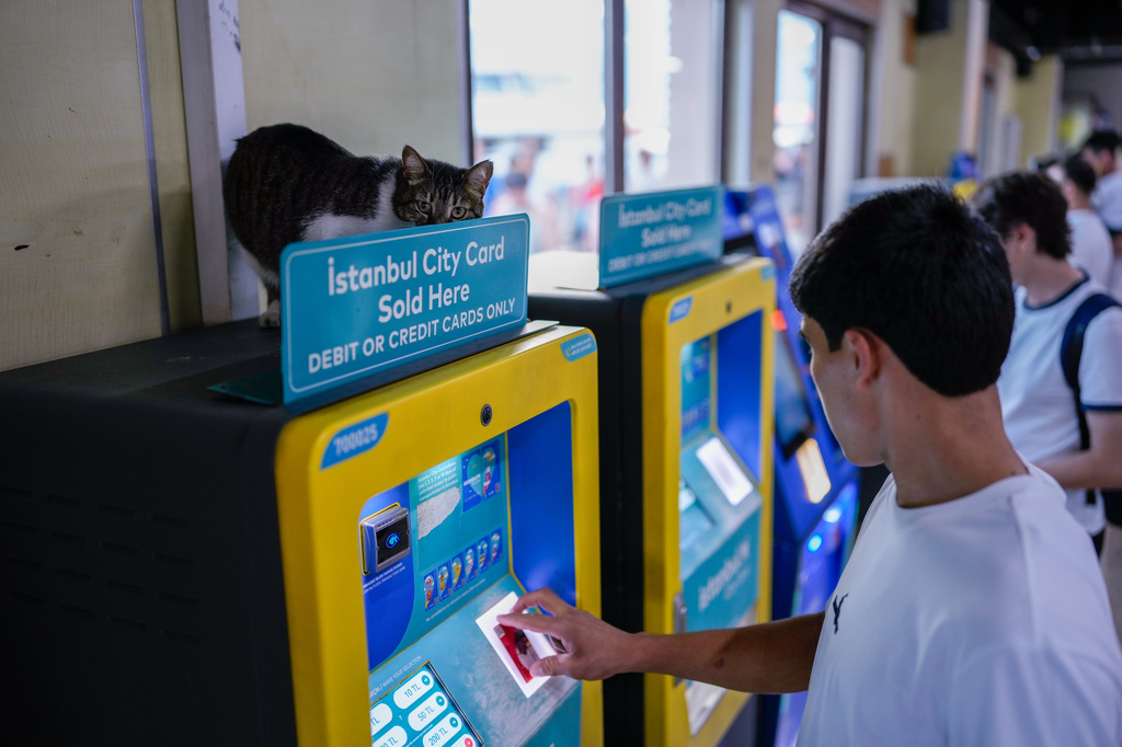 A cat sits on top of an Istanbul travel ticket machine at Kadikoy ferry terminal in Istanbul, Turkey, Monday, July 13, 2026. (AP Photo/Emrah Gurel)
